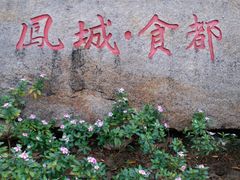 -黄连大头华烧鹅店(大良店)