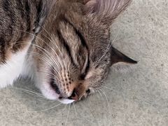 -中田健身工作室(嘉定江桥店)