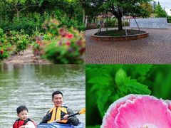 -上海长兴岛郊野公园