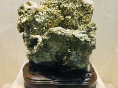 -安徽省地质博物馆