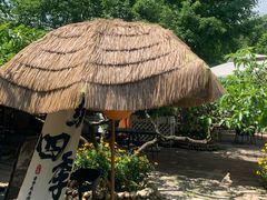 -桃源山庄·水蜜桃采摘·柴火鸡·烧烤团建(龙泉山店)