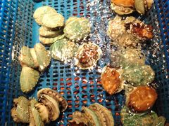 -驻海渔市(置信店)