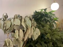 -Ten Olives甜点