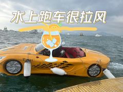 -三亚游船旅游中心(三亚鹿回头游艇游船公共码头店)