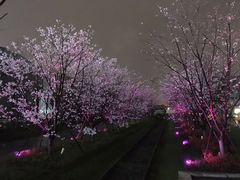 -新天地活力PARK