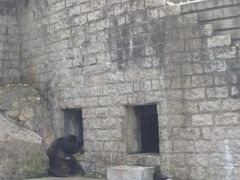 景点-二龙喉公园