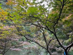 -岳麓山风景名胜区
