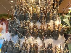 -亚马逊蒸汽活海鲜自助(LCM置汇旭辉广场店)