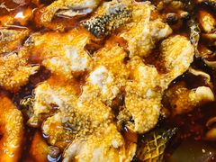 红汤鱼火锅-川渔居—鱼火锅(八方汇店)