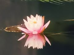 -望江楼公园