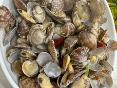 -良友·海鲜青岛菜·海肠捞饭(五四广场店)