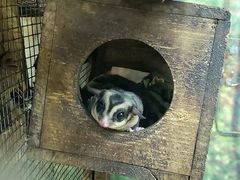 -上海大自然野生昆虫馆(东方明珠·爬宠昆虫探索中心)