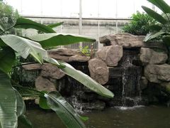 -汤山翠谷生态餐厅
