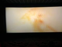 -万达影城(闵行颛桥万达广场杜比影院店)