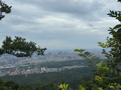 -紫金山山顶公园