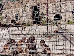 -南京金牛湖风景区