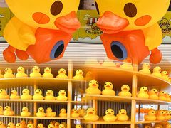 -百佳华超市(松岗店)