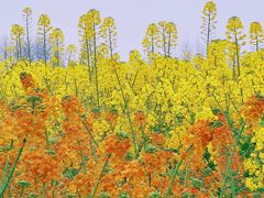 -中国天府农业博览园