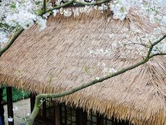 -中国茶叶博物馆(双峰馆区)