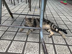 -花姨·老电影院果汁冰(88号店)