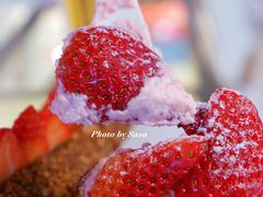 -西树泡芙(静安大悦城店)