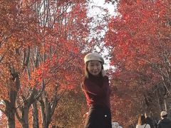 -阳澄湖半岛旅游度假区