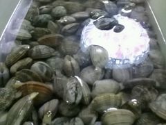 花甲-李三海鲜火吧