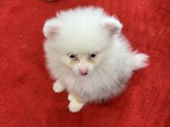 -尚泰清迈机场购物中心