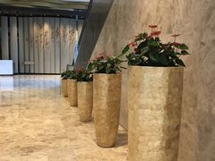 -江门富力万达嘉华酒店