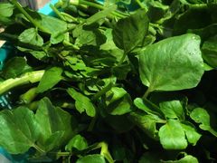 -金海阁海鲜火锅