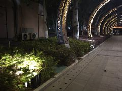 -映月湖公园
