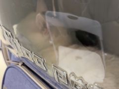 -瑞鹏·疫苗·绝育·宠物医院(广九店)