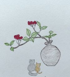 -Oasis Beauty水磨坊科技美肤中心