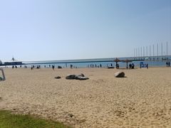 -碧海金沙
