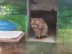 -青藏高原野生动物园