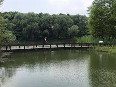 -梁鸿国家湿地公园