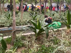 -南宫五洲植物乐园