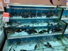 -盒马鲜生(昆城店)