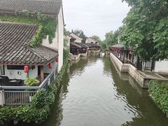 -鲁镇
