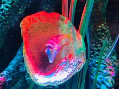 -沈阳海洋探索中心