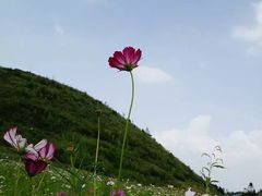 -重庆云阳龙缸景区