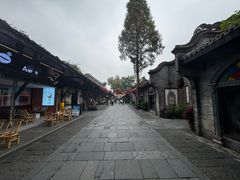 -安仁古镇