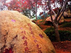 -广州市帽峰山景区