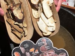 -芸山季·云南山珍菌火锅(人民广场来福士店)