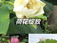 -厦门园林博览苑