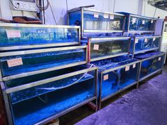 -八仔大富楼·河鲜(西江店)