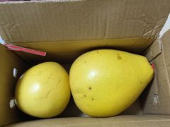 -脂肪-家庭厨房(莫愁店)