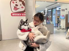 -Husky Go! 哈士奇体验馆·宠物咖啡厅狗咖