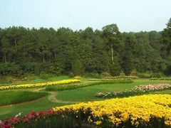 -保利石象湖景区