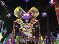 -欢乐海岸椰林沙滩-2025湾区超级灯会